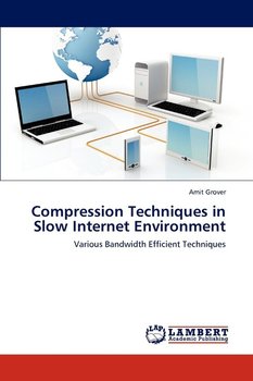 Compression Techniques in Slow Internet Environment - Grover Amit