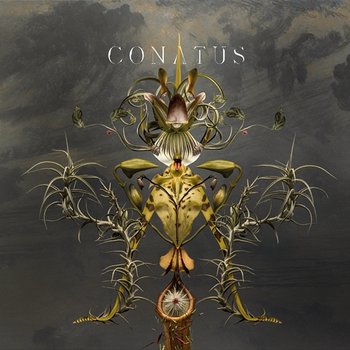 Conatus - Joep Beving