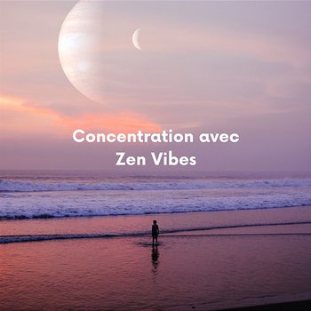 Concentration Avec Zen Vibes - Zen Vibes