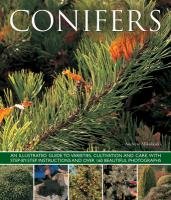 Conifers - Mikolajski Andrew