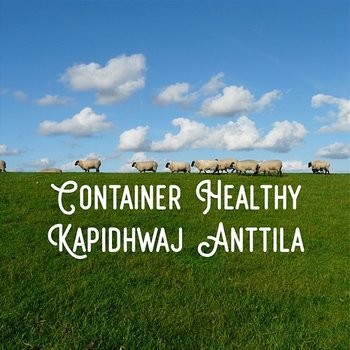 Container Healthy - Kapidhwaj Anttila