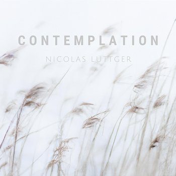 Contemplation - Nicolas Lüttger