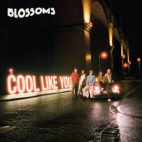 Cool Like You Blossoms