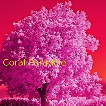 Coral Paradise - Wonda Bunnell