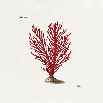 Corallo - Colombre
