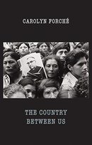 Country Between Us Forche Carolyn