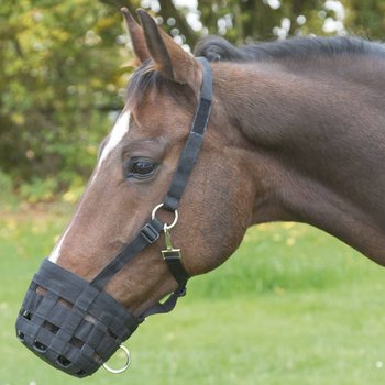 Covalliero Kaganiec dla konia, rozmiar pony, czarny - Covalliero