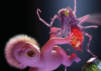 Yeah Yeah Yeahs promują swój najnowszy krążek „Mosquito”