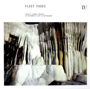 Crack-Up (Choral Version) / In The Morning (RSD), płyta winylowa - Fleet Foxes