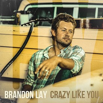 Crazy Like You - Brandon Lay