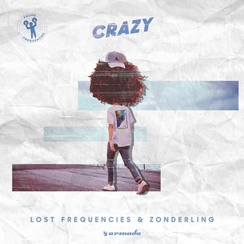 Crazy - Lost Frequencies, Zonderling