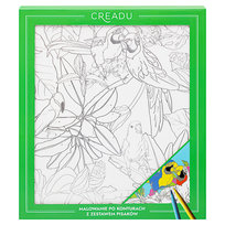 Creadu, malowanie po konturach, papugi