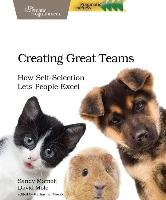 Creating Great Teams - Mamoli Sandy, Mole David