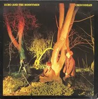 Crocodiles Echo & The Bunnymen