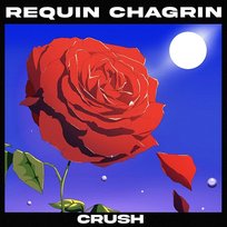 Crush Requin Chagrin feat. Anaïs Demoustier
