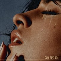 Cry for Me Camila Cabello