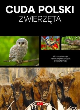 Cuda Polski Zwierzęta - Przybyłowicz Łukasz