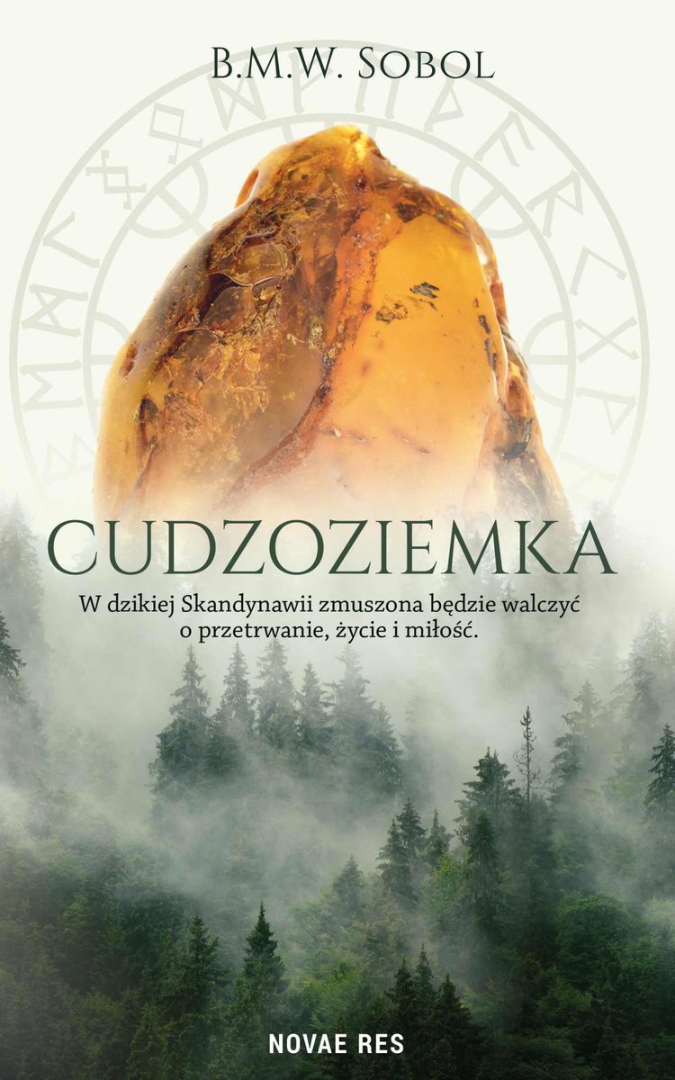 Cudzoziemka - ebook epub