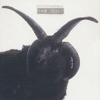 Cult The Cult