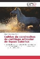 Cultivo de condrocitos de cartílago articular de Equus caballus - Vegas Albino Diana Pamela