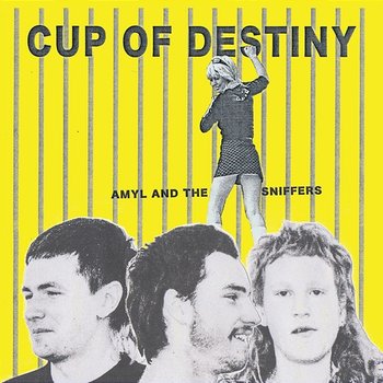 Cup Of Destiny - Amyl and the Sniffers