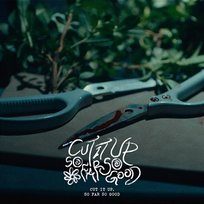CUT IT up 恰好乐队