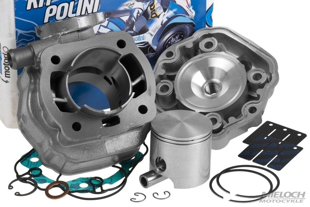 Lamelles Carbone Polini Clapet Admission – Compatibles Derbi Senda, GPR, RS4, SMT Euro 2/3/4 – Performances Optimales 0.3mm