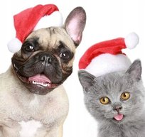Czapka Świętego Mikołaja dla Psa Kota Czapki świąteczne dla pupila Mikołaj