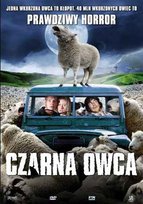 Czarna Owca King Jonathan
