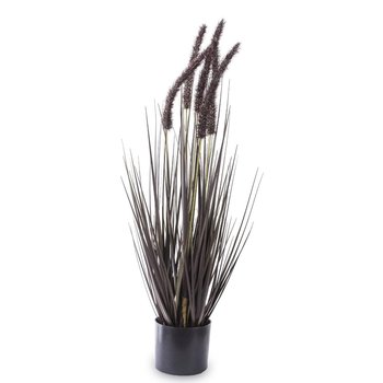 Czarna roślina dekoracyjna w doniczce Augalas 65 cm - Duwen