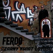 Czarny kwiat lotosu Ferdo
