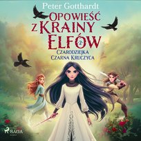 Czarodziejka Czarna Kruczyca. Opowieść z Krainy Elfów. Tom 2 - audiobook Gotthardt Peter