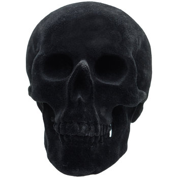 Czaszka, Halloween, Czarna, 1 Sztuka - Empik