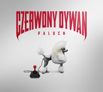Czerwony Dywan Paluch
