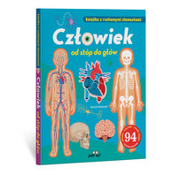 Człowiek od stóp do głów. Książka z ruchomymi elementami Hawcock David