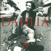 DAHLIA X Japan