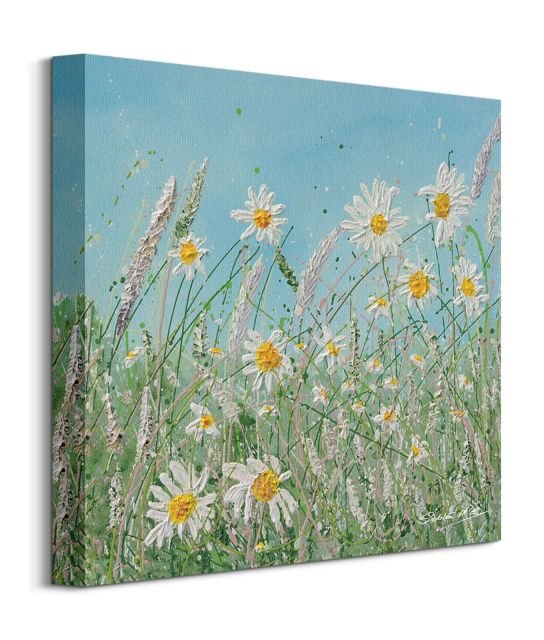 Daisy Meadow obraz na płótnie Art Group Sklep