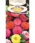 DALIA ZMIENNA POMPONOWA mix pełne kwiaty NASIONA KWIATÓW ROŚLIN OZDOBNYCH p. 2H66; - Inny producent