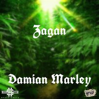 Damian Marley Zagan