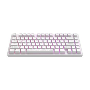 Dark Project Alu Terra Nostra, Biały - Mechaniczna Gaming Klawiatura (Ua) [Ansi] - Inny producent