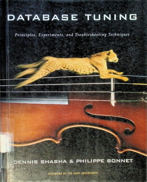 Database Tuning: Principles, Experiments, and Troubleshooting ...