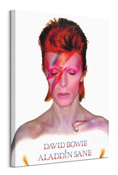 David Bowie Aladdin Sane - obraz na płótnie - Pyramid Posters