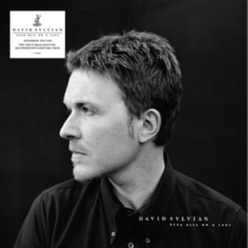 Dead Bees On a Cake - David Sylvian