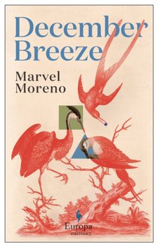 December Breeze. A masterful novel on womanhood in Colombia - Marvel Moreno