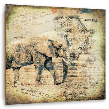 Deco Panel: Afrykański słoń, 80x80 cm - Feeby