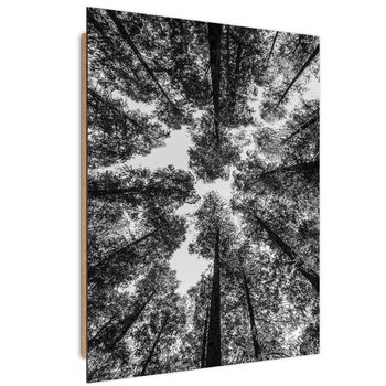 Deco Panel CARO Czubki drzew, 40x60 cm - Caro