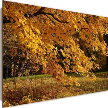 Deco panel CARO Drzewo z żółtymi liśćmi, 90x60 cm - Caro