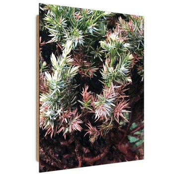 Deco Panel CARO Kolczasty krzew, 40x60 cm - Caro