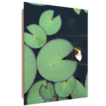 Deco Panel CARO Liście lilii wodnej, 60x90 cm - Caro