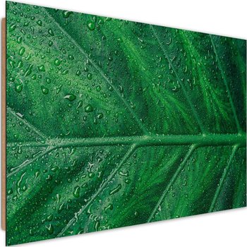 Deco panel CARO Mokry liść z bliska, 60x40 cm - Caro